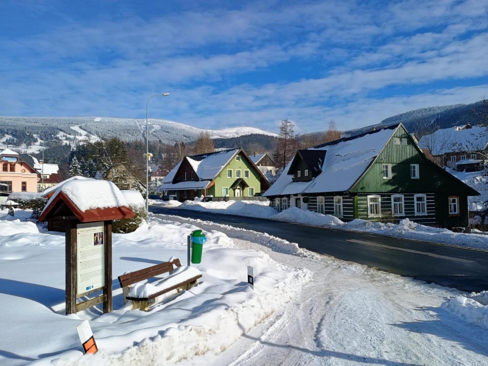 Penzion "V Zeleny" Рокитніце-над-Їзероу Екстер'єр фото